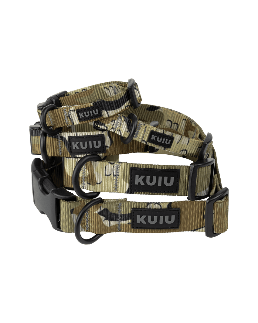 Camo Webbing Dog Collar | Valo